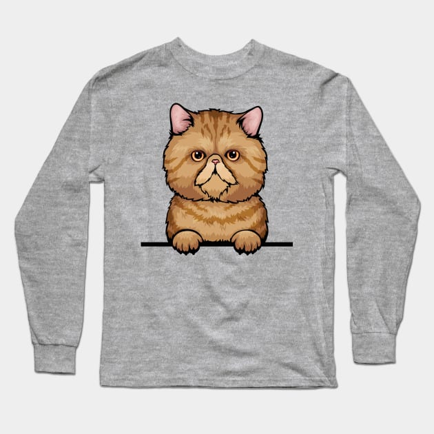 Tabby Exotic Cat Long Sleeve T-Shirt by mankjchi